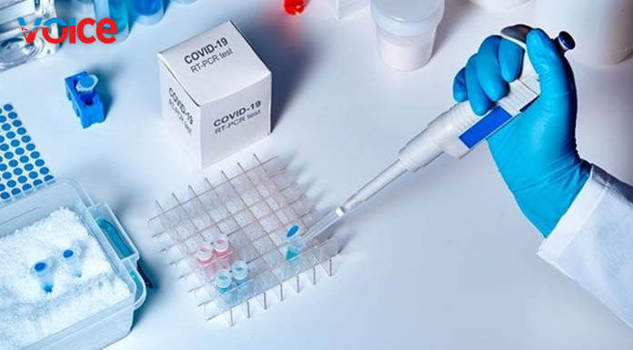 Türkiye’de 82 can kaybı, 7 bin 419 yeni vaka