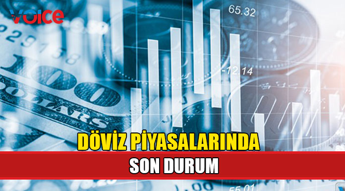 Döviz piyasalarındaki hareketlilik devam ediyor