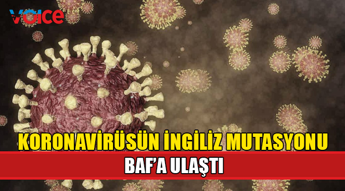 Güneyde 161 bin 526 kişi aşılandı