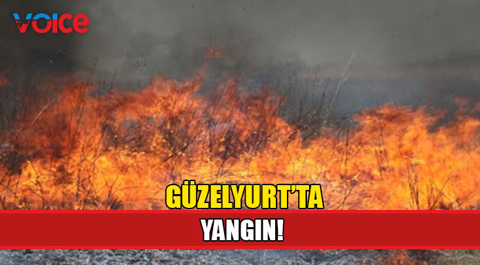 Elektrik tellerinin birbirine temas etmesi sonucu yangın çıktı