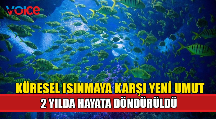 Dünyanın küresel ısınma ile mücadelesinde yeni umut
