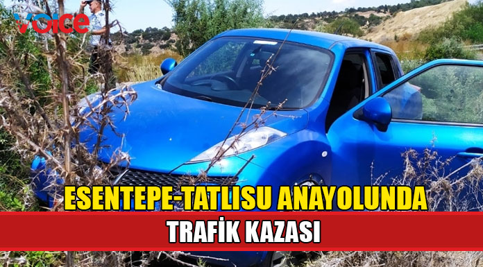 Yolun solundan çıkarak, bariyerler üzerinden aşıp durabildi