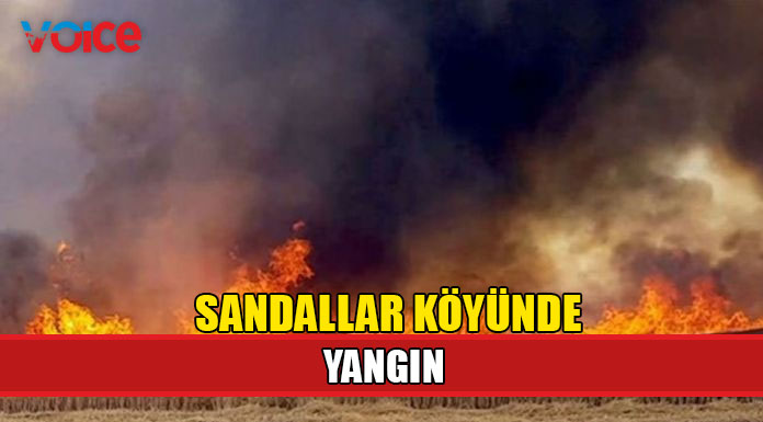 2 şahsa ait 14 dönüm arazi yanarak zarar gördü