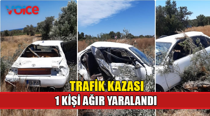 Zeytin ağacına çarpan 25 yaşındaki sürücü ağır yaralandı!