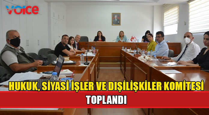 Komite 2 yasa önerisini Genel Kurul'a sevk etti