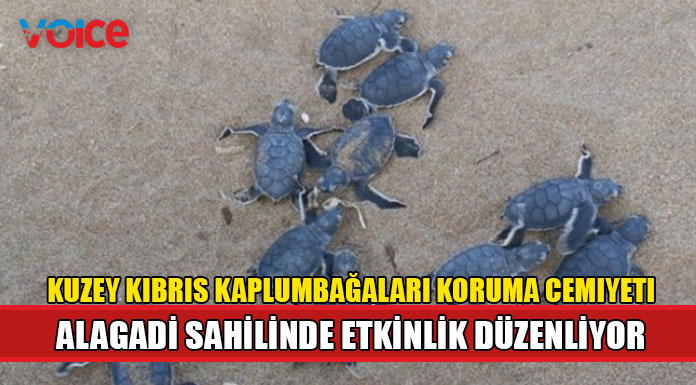 Kaplumbağaları Koruma Cemiyetinden Dünya Çevre Günü etkinliği