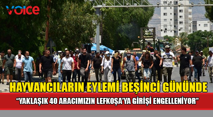 "Yaklaşık 40 aracımızın Lefkoşa'ya girişi engelleniyor"