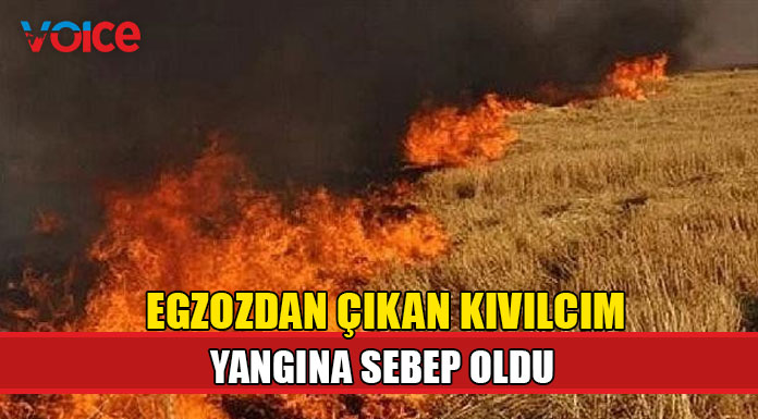 Karpaşa’da arazi yangını!