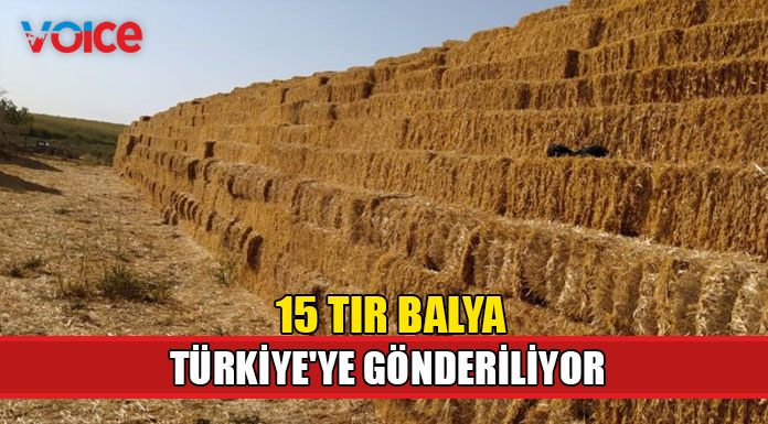 15 tır balya, Mağusa Limanı'ndan Türkiye'ye gönderilecek