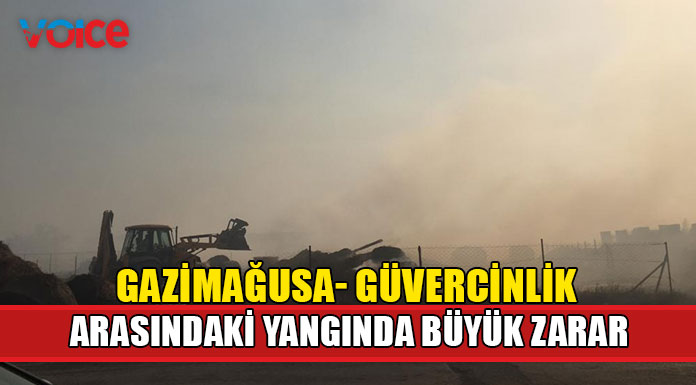 Yangın büyük zarara neden oldu
