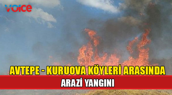 18 dönümlük alan yandı
