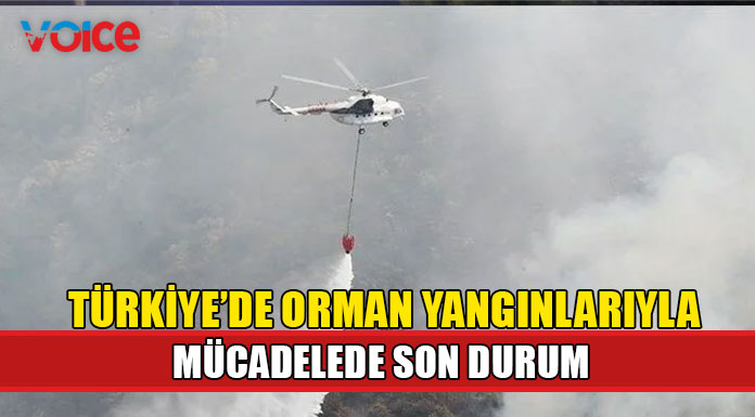 Orman yangınlarını söndürme çalışmaları devam ediyor