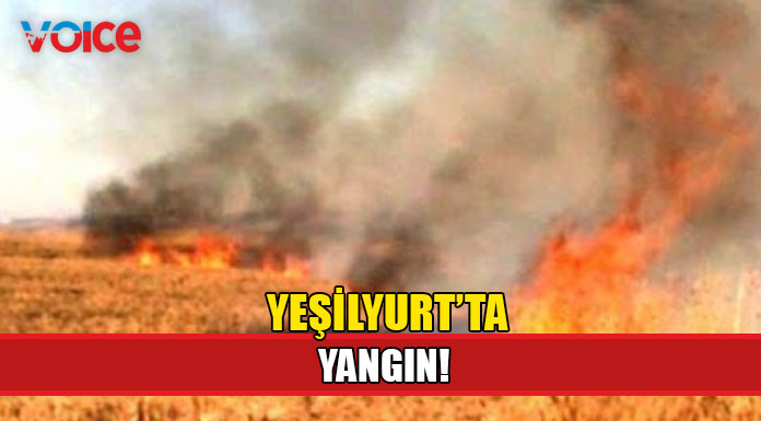2 dönüm alan yanarak zarar gördü