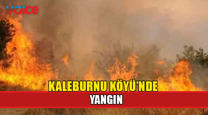 45 dönümlük alan yandı