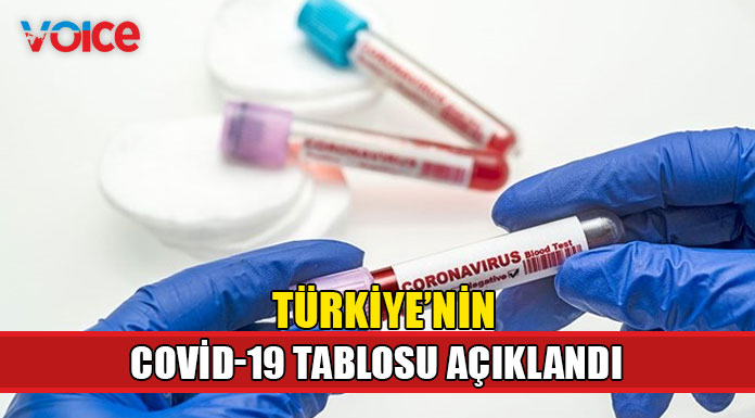Türkiye'de 176 can kaybı, 19 bine yakın vaka