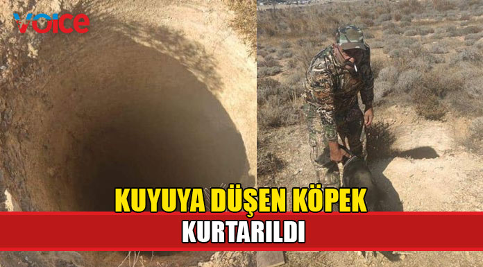 Kuyuya düşen köpek itfaiye tarafından kurtarıldı