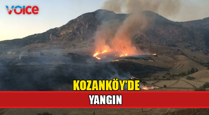 Vadide başlayan yangın henüz kontrol altına alınamadı