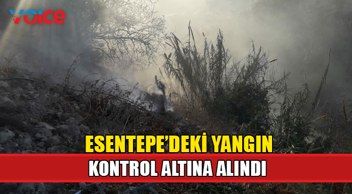 Esentepe'deki yangın kontrol altına alındı, Kozanköy'de devam ediyor
