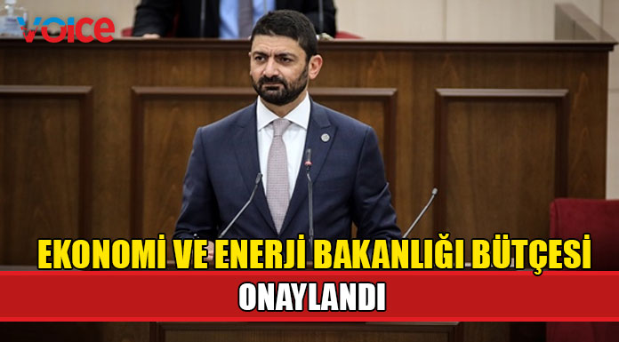 "Döviz kuru sabitlemesi gibi taleplerin üzerinde çalışma yapılıyor"