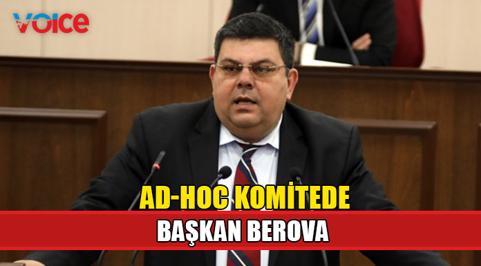 Ad-Hoc Komitenin Başkanı UBP milletvekili Berova