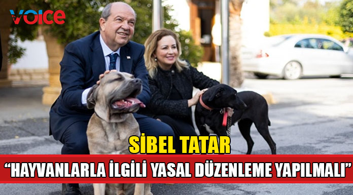 "Bu suç Türkiye'de 4, İngiltere'de 5 yıla kadar hapis cezası öngörüyor"