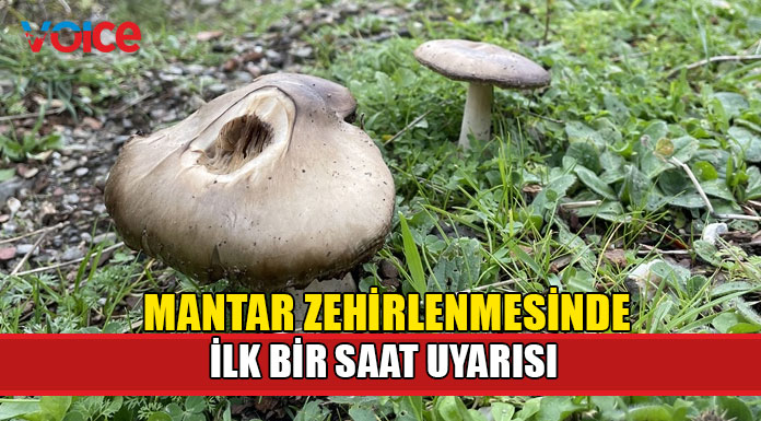 Mantar zehirlenmesinde ilk bir saat kritik öneme sahip