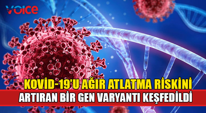 Kovid-19’u ağır geçirme riskini iki katına çıkarabilen gen varyantı keşfedildi