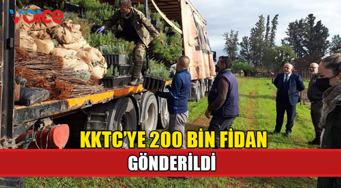 Türkiye’den KKTC’ye 200 bin fidan gönderildi