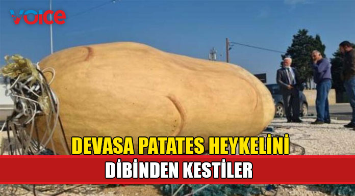 Devasa patates heykeli saldırıya uğradı