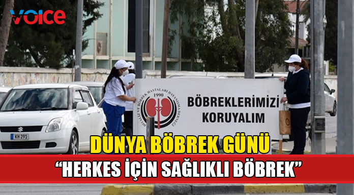 "Harekete geçilmezse, 2040 yılına kadar önde gelen beşinci ölüm nedeni olacak"
