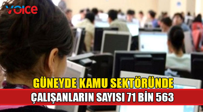 Güneyde 71 bin 563 kamu çalışanı olduğu açıklandı