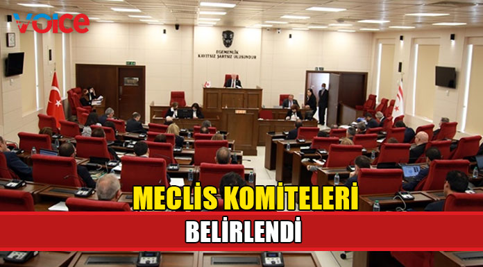 Meclis'in gelecek birleşimi 21 Mart'ta