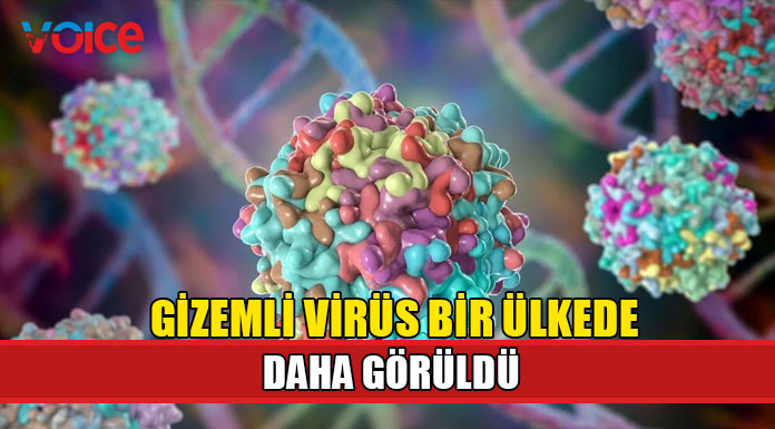 Gizemli hepatit hastalığının belirtileri nelerdir?