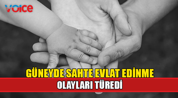 Güneyde sahte evliliklerden sonra sahte evlat edinme olayları