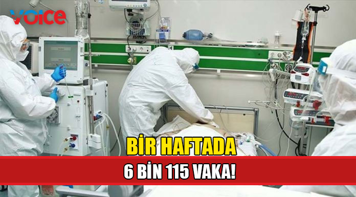 Güneyde covid-19 sebebiyle hayatını kaybedenlerin sayısı 1006’ya yükseldi