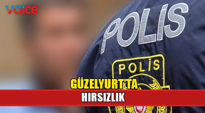 Park halindeki araçtan hırsızlık yaptı!