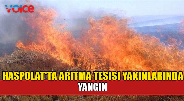 18 dönüm yanarak zarar gördü!