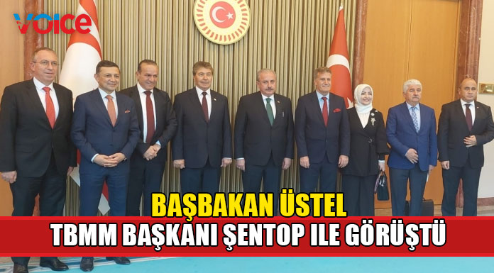 "Anavatanımız ile çizdiğimiz yolda adım adım ilerliyoruz"