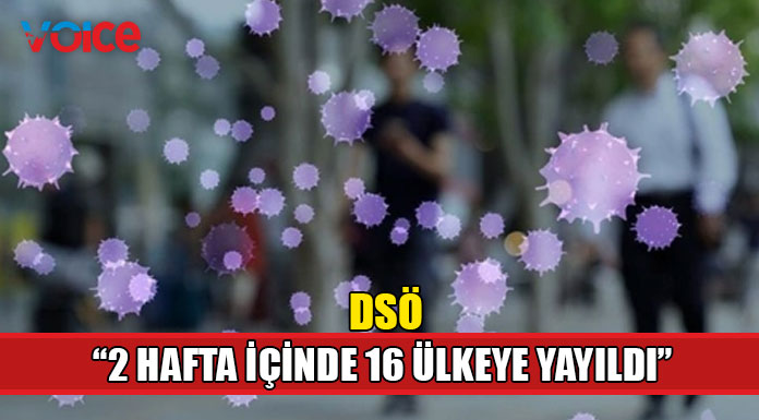 DSÖ 16 ülkede maymun çiçeği vakası görüldüğünü açıkladı