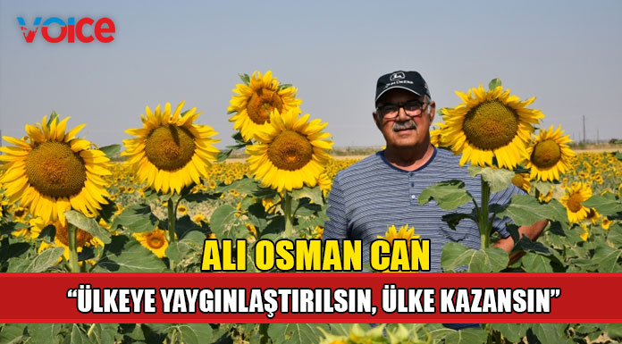 “Ülkede ayçiçeği yetiştirilmelidir, karşılığını alırsınız”