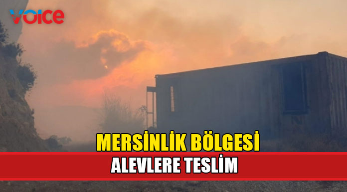 Yangın rüzgarın etkisiyle şiddetlendi