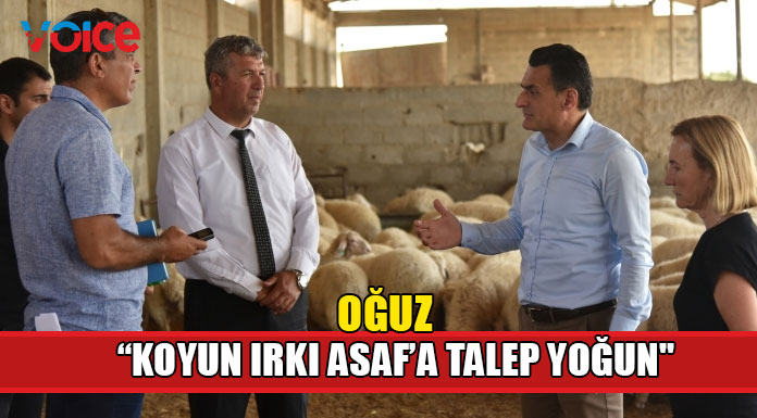 "Küçükbaş hayvan sayısı artıyor"