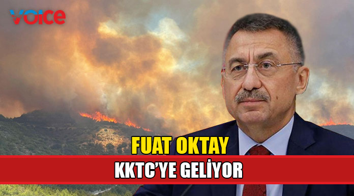 Oktay yangın bölgesinde incelemelerde bulunacak
