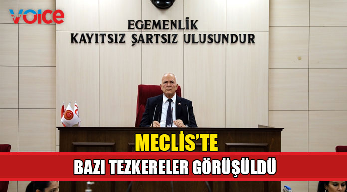 Bazı tezkereler kabul edildi