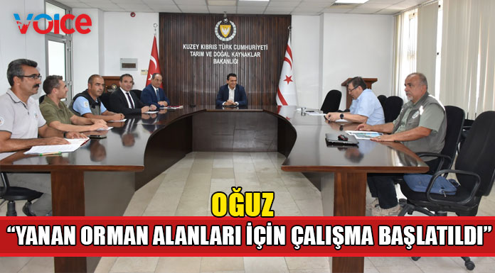 "Yanan ormanların yeniden rehabilitasyonu için bilimsel çalışma başlatıldı"