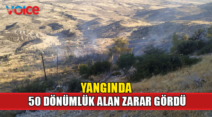 Alevkayası bölgesinde çıkan yangın söndürüldü