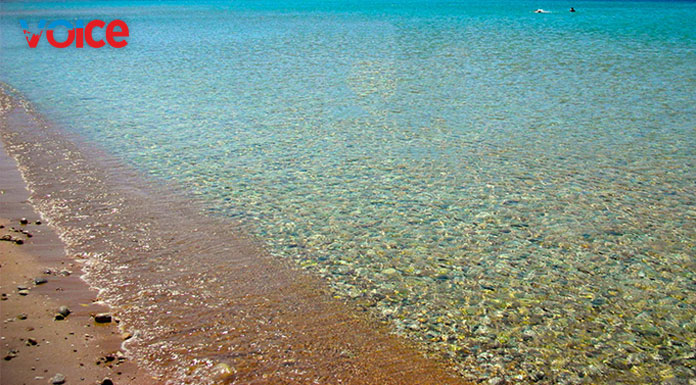 Seawater analysis results for July announced