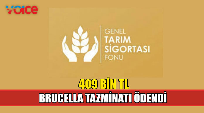18 hayvan üreticisine Brucella tazminatı ödendi