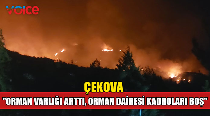 "Yanık sahanın tamamında hayvan otlatmasına karşı ciddi önlem alınmalı"
