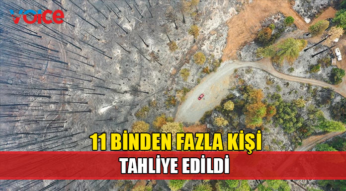 California'daki yangın 11 binden fazla kişinin evlerini terk etmesine neden oldu